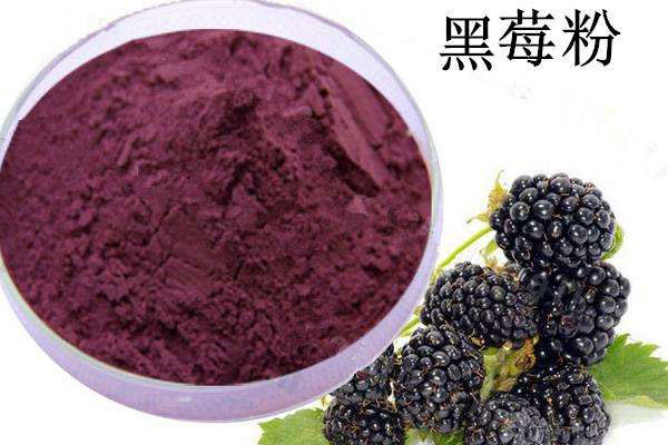 Pure natural BlackBerry powder